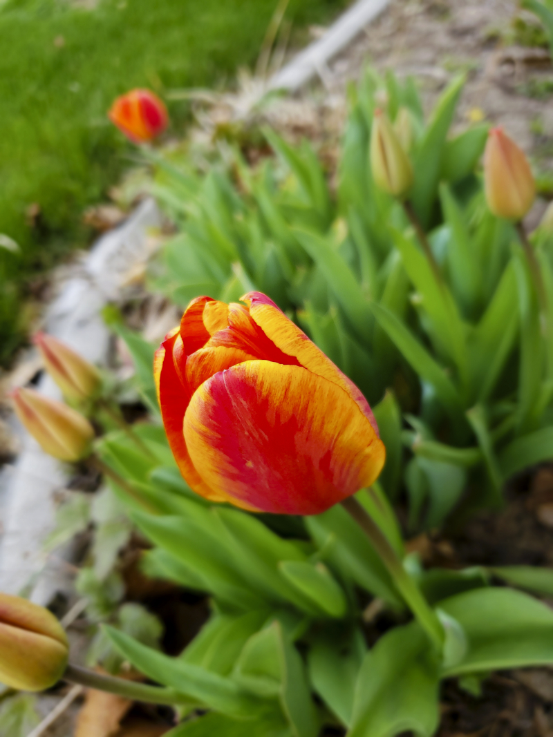 18 on the 18th april 04 18 on the 18th april 04